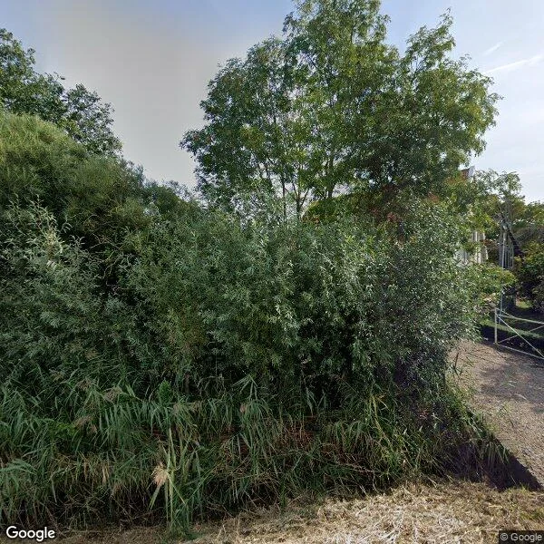 Straatbeeld van Achterdijk 1, 3998NE Schalkwijk