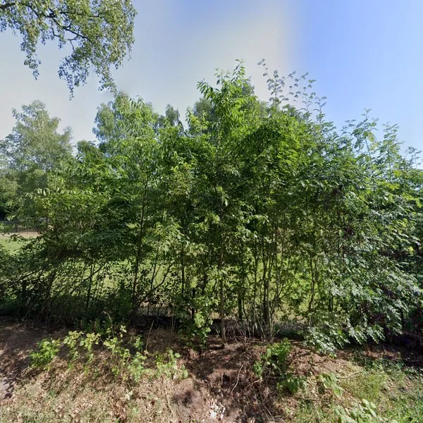 Straatbeeld van Allemansweg 1a, 7798CK Collendoorn