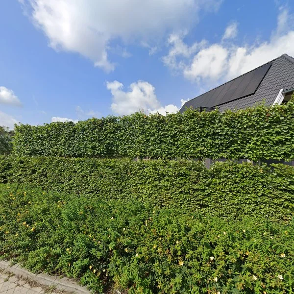 Straatbeeld van Amalialaan 3, 7491XB Delden