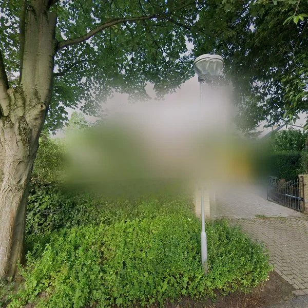 Straatbeeld van Ameroever 39, 4926EC Lage Zwaluwe
