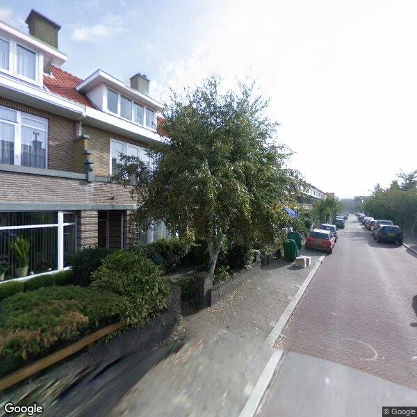Straatbeeld van Ananasstraat 113, 2564SN Den Haag