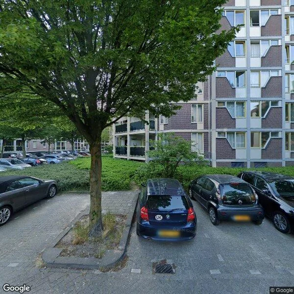 Straatbeeld van Anna Paulownahof 206, 5038VZ Tilburg