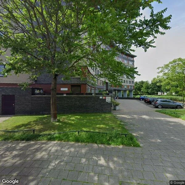 Straatbeeld van Argusvlinder 55, 4814SG Breda