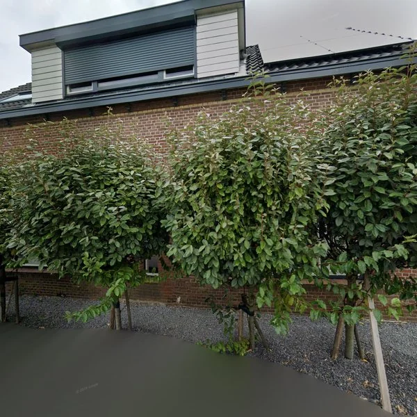 Straatbeeld van Baakwoning 30, 2671LE Naaldwijk