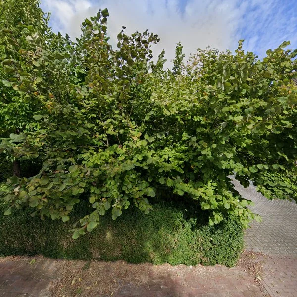 Straatbeeld van Baetserveldsingel 23, 6088HR Roggel