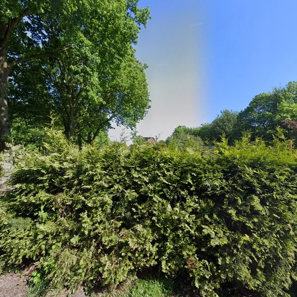 Straatbeeld van Beneden Veensloot 21, 9651CH Meeden