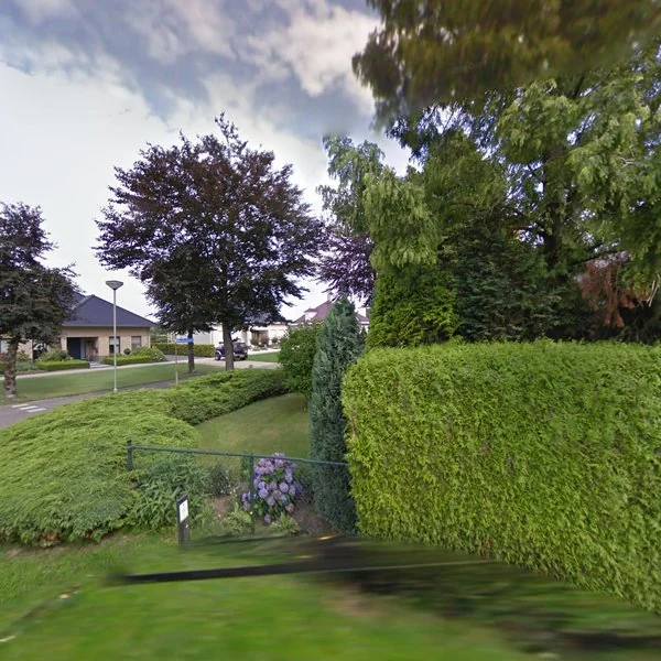 Straatbeeld van Beukenlaan 16, 6092NC Leveroy