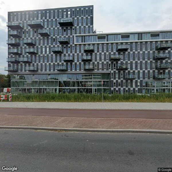 Straatbeeld van Binckhorstlaan 313H, 2516BC Den Haag