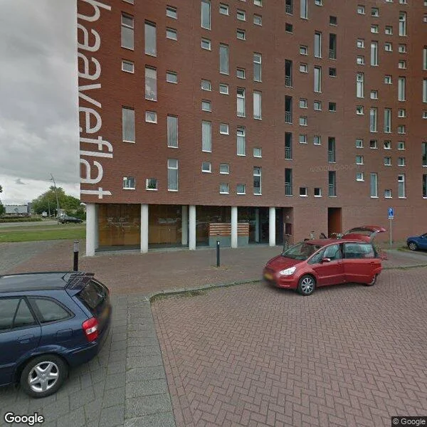 Straatbeeld van Boerhaavelaan 311, 9728LP Groningen