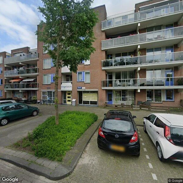 Straatbeeld van Borculolaan 166, 5043ZV Tilburg