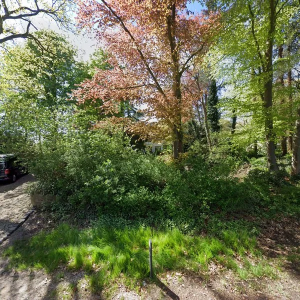 Straatbeeld van Borkeldsweg 31, 7451SN Holten