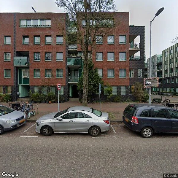 Straatbeeld van Borneolaan 217, 1019HX Amsterdam