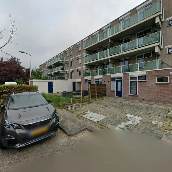 Straatbeeld van Borstelgras 47, 3206SB Spijkenisse