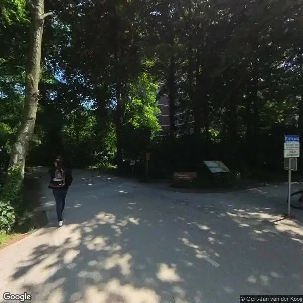 Straatbeeld van Boslaan 359, 2594NJ Den Haag