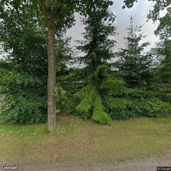 Straatbeeld van Bosweg 6l, 9551VP Sellingen