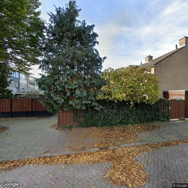 Straatbeeld van Boterbloem 21, 3068AA Rotterdam