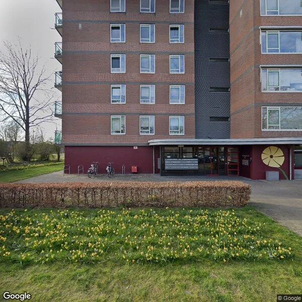 Straatbeeld van Boterbloem 80, 7322GZ Apeldoorn
