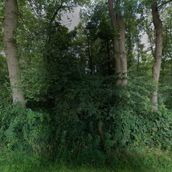 Straatbeeld van Bouwhuisweg 5, 7778HC Loozen