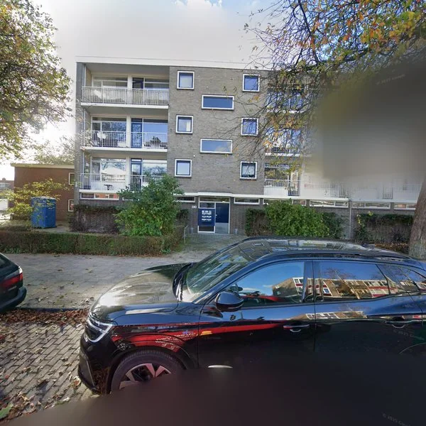 Straatbeeld van Brahmslaan 293, 2324AL Leiden