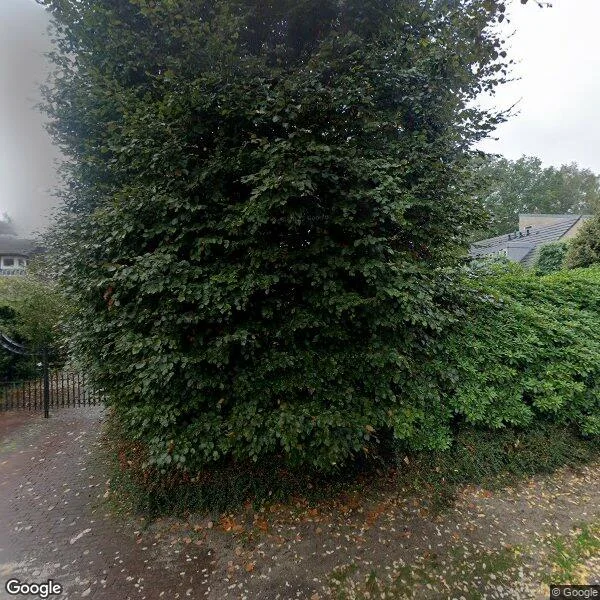 Straatbeeld van Breeweg 13, 1251DX Laren