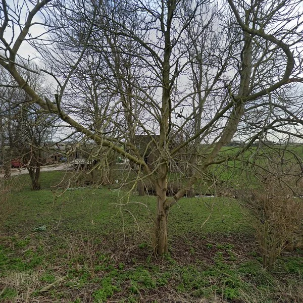 Straatbeeld van Broekermeerdijk 27, 1151CZ Broek in Waterland