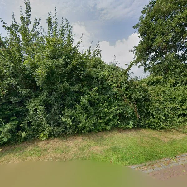 Straatbeeld van Broekfinne 75, 9213RM De Wilgen