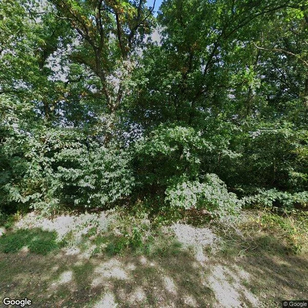 Straatbeeld van Bruinehaarsweg 68, 7679TJ Langeveen
