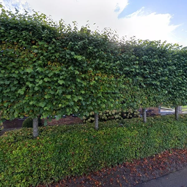 Straatbeeld van Buitendijk 21, 4255GT Nieuwendijk