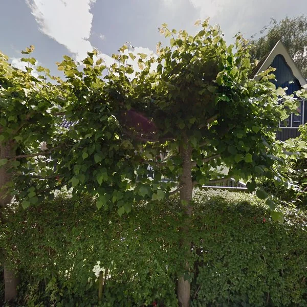 Straatbeeld van Buorren 10, 8493LE Terherne