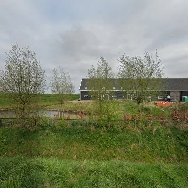 Straatbeeld van Burgemeester Lewestraat 57F, 4456CD Lewedorp