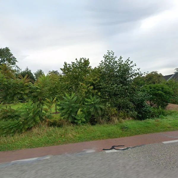 Straatbeeld van Carolieweg 8-I, 9354TM Zevenhuizen