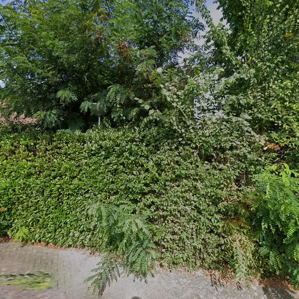 Straatbeeld van Clervauxlaan 37, 5625LB Eindhoven
