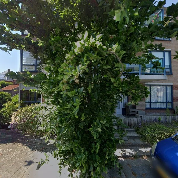 Straatbeeld van Clusiushof 50, 2182EB Hillegom