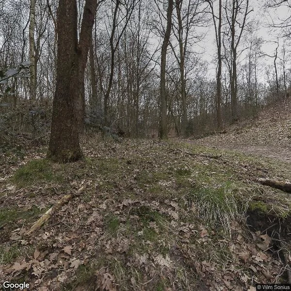 Straatbeeld van Crailoseweg 100b-7, 1272EX Huizen
