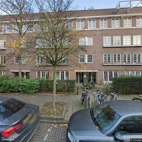 Straatbeeld van Danie Theronstraat 13C, 1091XV Amsterdam