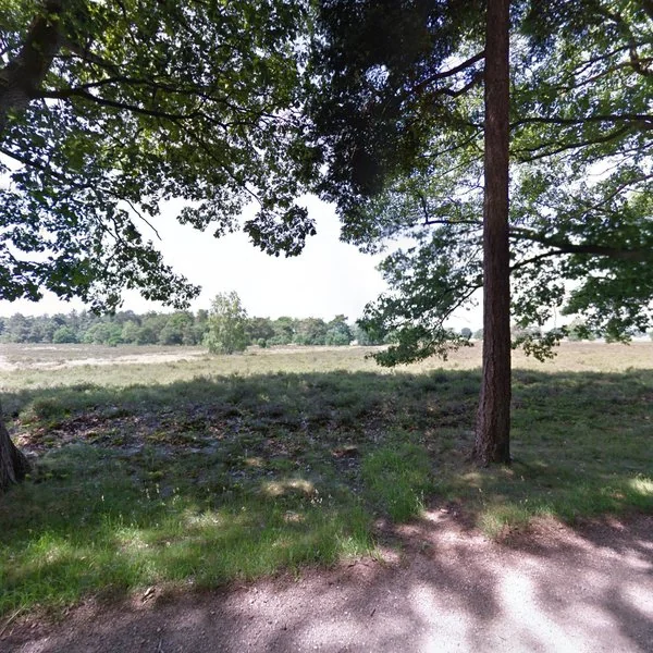 Straatbeeld van De Grave 44, 7448BC Haarle