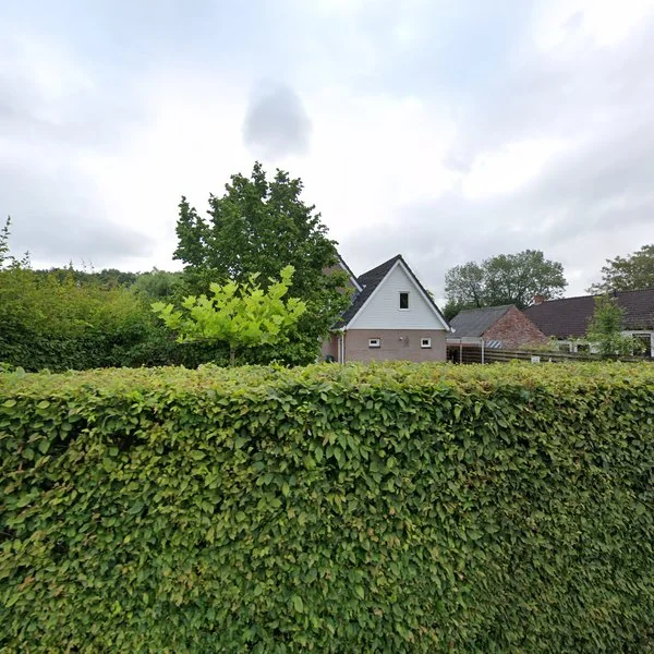 Straatbeeld van De Kamp 21, 9944CB Nieuwolda