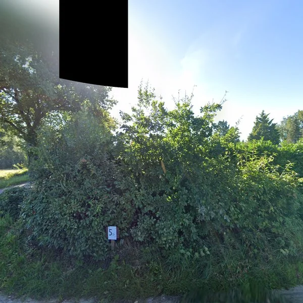 Straatbeeld van De Leeuwerik 9, 4859AC Bavel AC