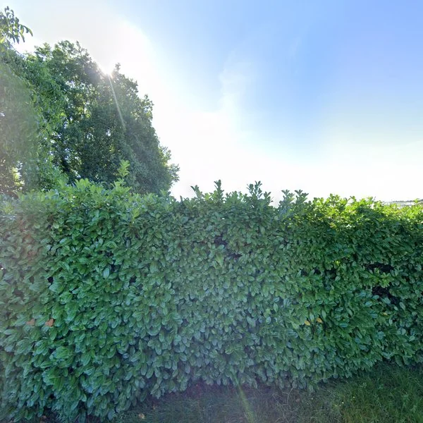 Straatbeeld van De Leeuwerik 9b, 4859AC Bavel AC