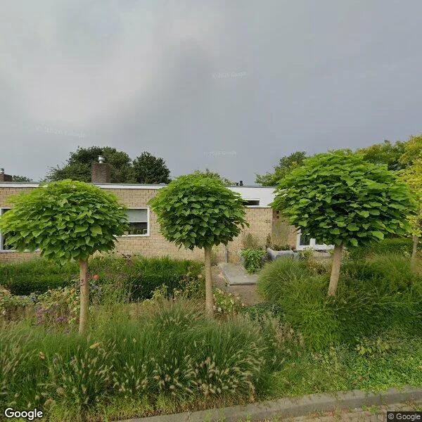 Straatbeeld van De Muzen 22, 1431XP Aalsmeer