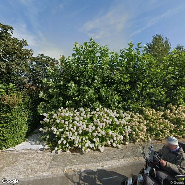 Straatbeeld van De Pol 6, 7707PA Balkbrug