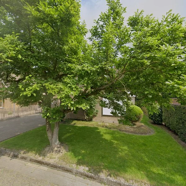 Straatbeeld van De Reiger 35, 8251NJ Dronten