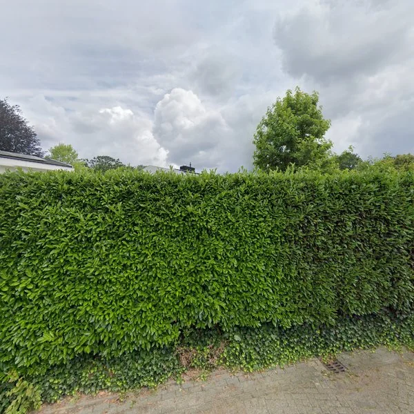 Straatbeeld van De Reusel 7, 5051DA Goirle