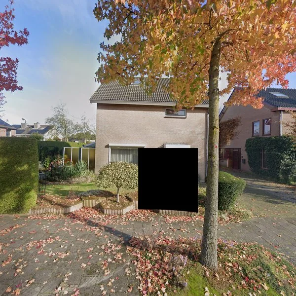 Straatbeeld van De Roerdomp 1, 5271LL Sint-Michielsgestel
