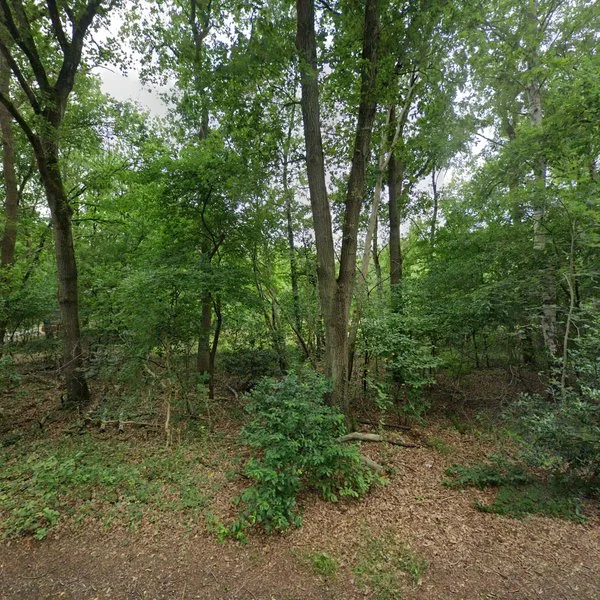 Straatbeeld van Dennenweg 3, 9551VJ Sellingen