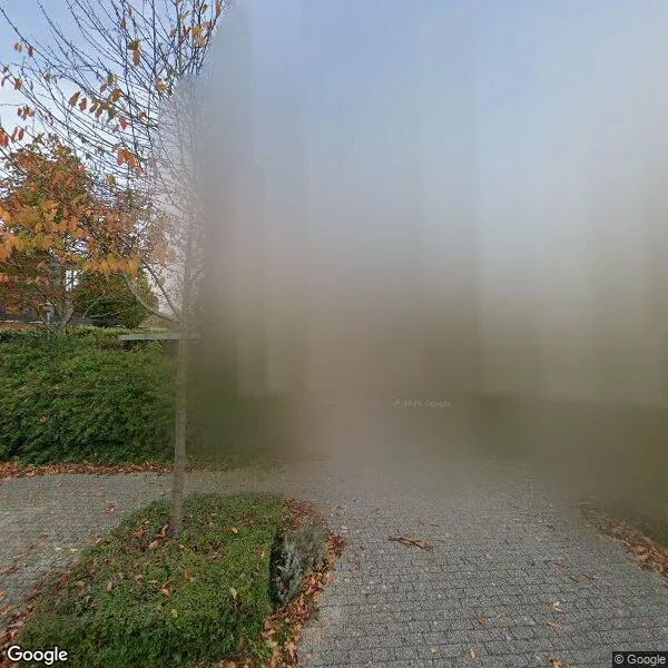 Straatbeeld van Diadeemstraat 76, 1336TS Almere