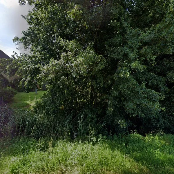 Straatbeeld van Dijksterweg 10, 9978TB Hornhuizen
