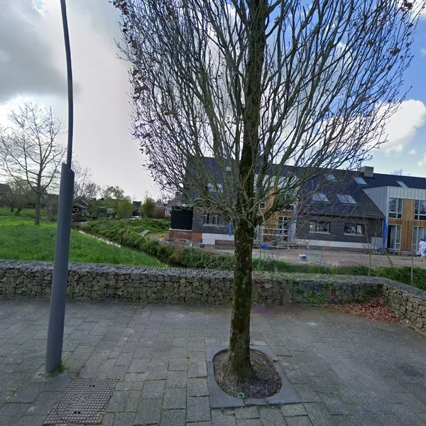 Straatbeeld van Dirk IV-plein 39, 4223NJ Hoornaar