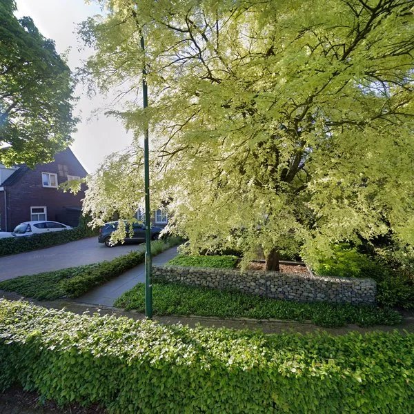 Straatbeeld van Donkeren Dijk 1, 5473CR Heeswijk-Dinther
