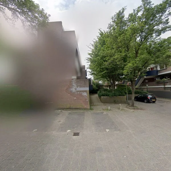 Straatbeeld van Doornenburg 77, 3328AC Dordrecht